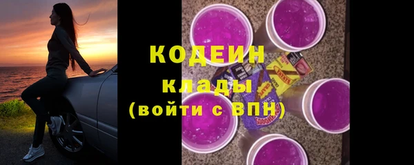 соль ск Дмитров