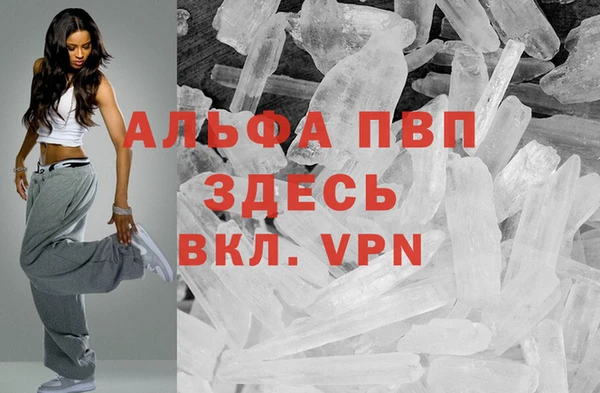 соль ск Дмитров