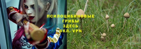 синтетический гашиш Дмитриев