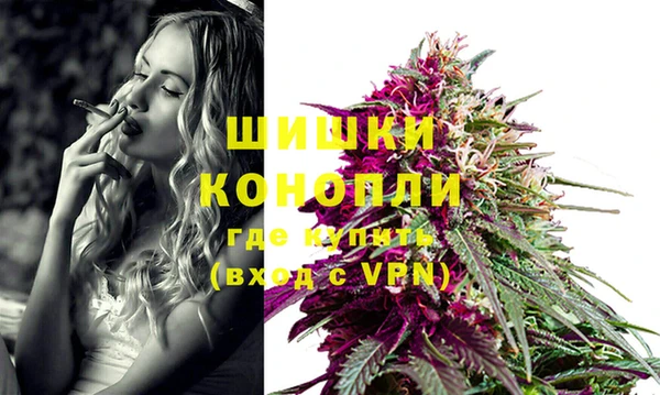 соль ск Дмитров