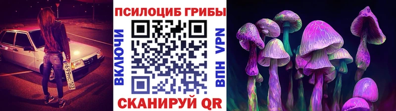 Купить закладки  Мосальск  Галлюциногенные грибы Psilocybe 